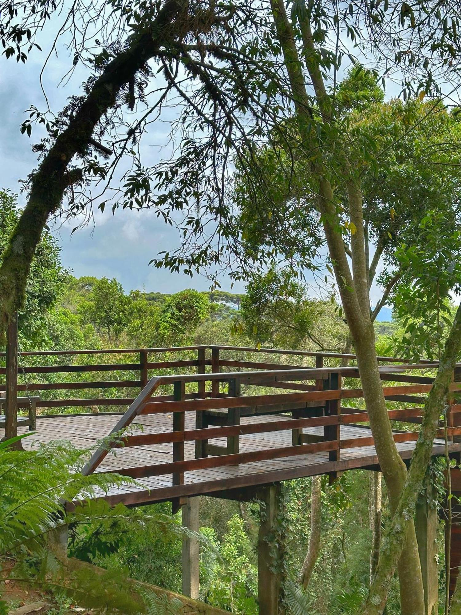Chale Coruja Listrada - Ninho Das Aves Campos do Jordao Luaran gambar