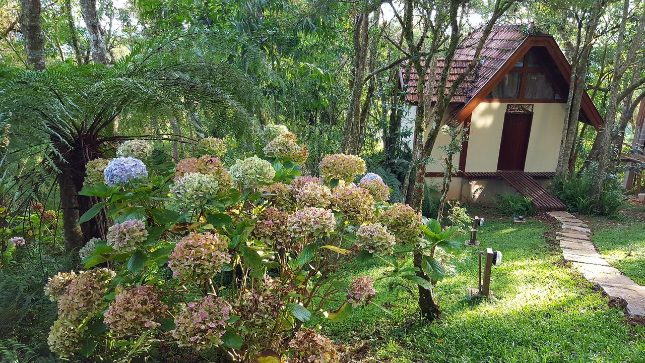 Chale Coruja Listrada - Ninho Das Aves Campos do Jordao Luaran gambar